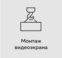 3 дня
